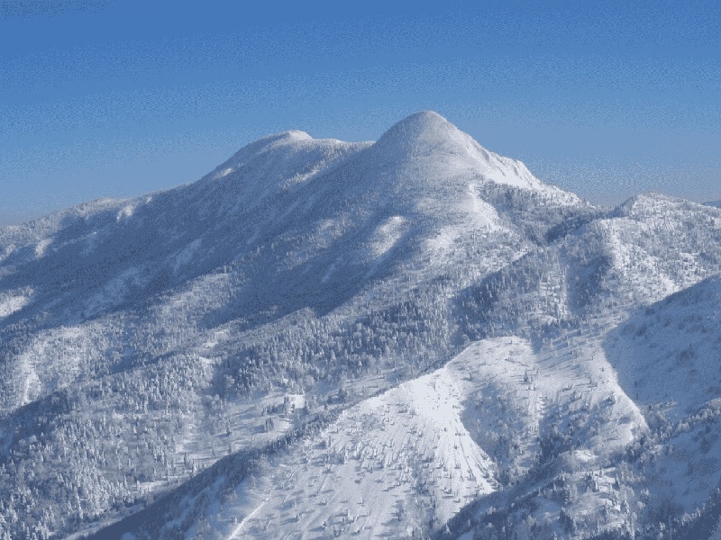 <strong>天津温岭有试管医院（amh试管需要多久）</strong>